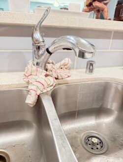 Photo Apr 19 2025, 2 01 17 PM