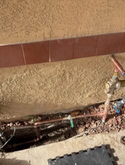 Photo Dec 03 2025, 9 42 32 PM (1)